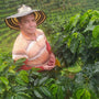 Colombiaanse koffieboer genaamd Hertson Bernal van koffieplantage La Esperanza. Hij staat op de foto midden in zijn koffieplantage met een aantal vers geplukte koffiebessen in zijn hand